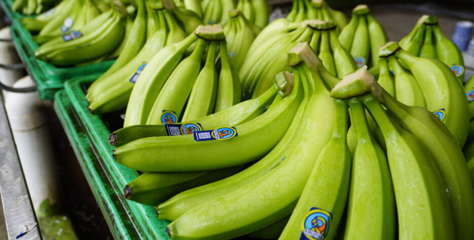 Servicio Integral para nuestros clientes